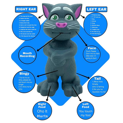Talking Tom Cat
